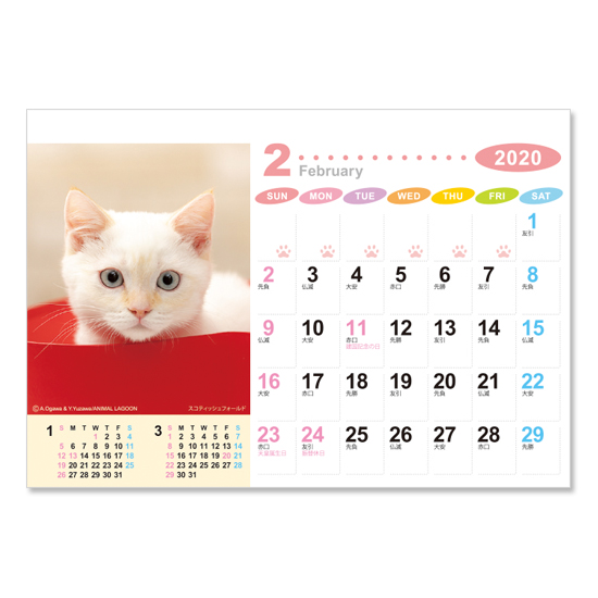ラブリーフレンズ(犬・猫) 卓上カレンダー 箔押し名入れ