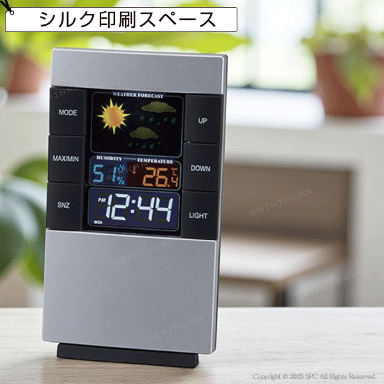 インフォクロック　SI213809