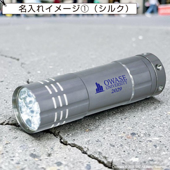 パワフルライト　スリーブケース入り