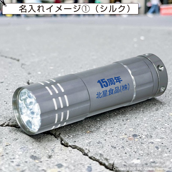 パワフルライト　スリーブケース入り
