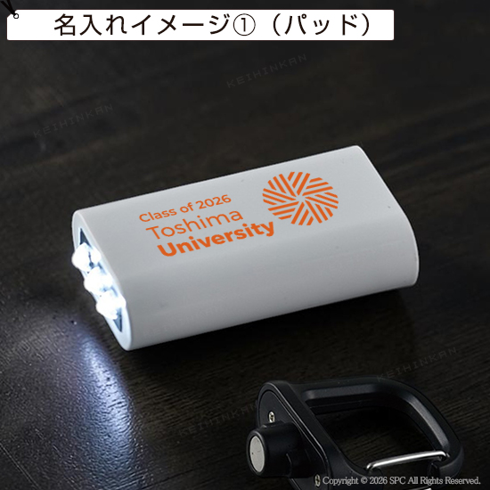 カラビナ付ポケットライト