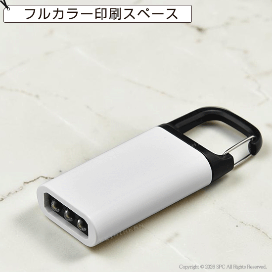 カラビナ付ポケットライト
