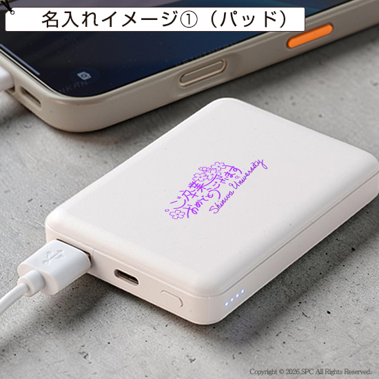 プロテクト　準固体モバイルタンク　5000