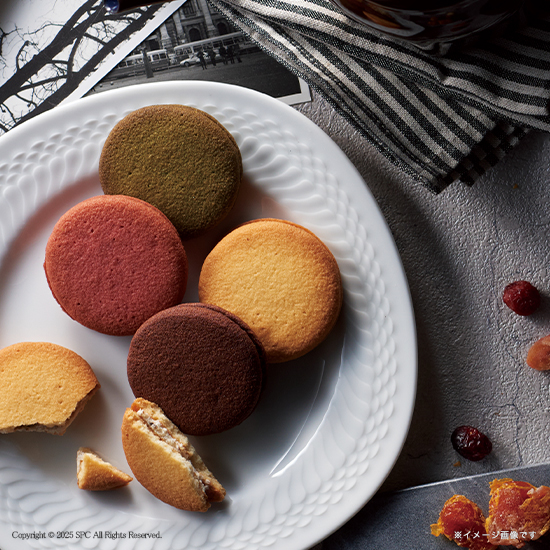 ラングドシャ詰め合わせ　APHDC01