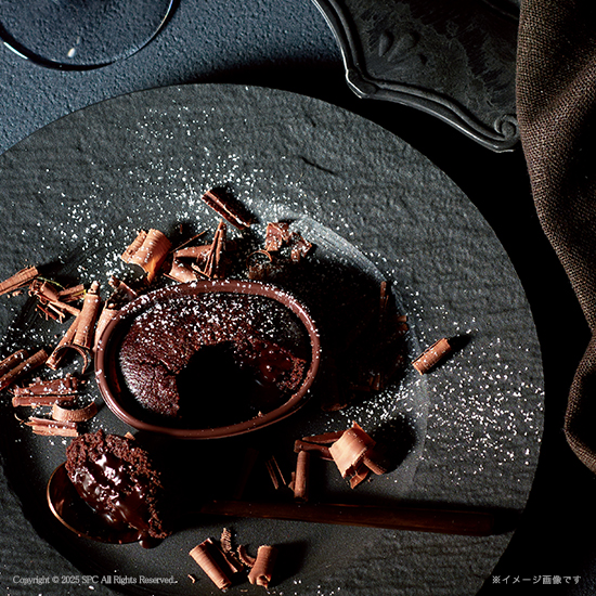 濃厚ガトーショコラ　APH012S