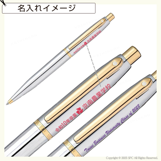 シェーファー VFM ボールペン ポリッシュトクロームGTT