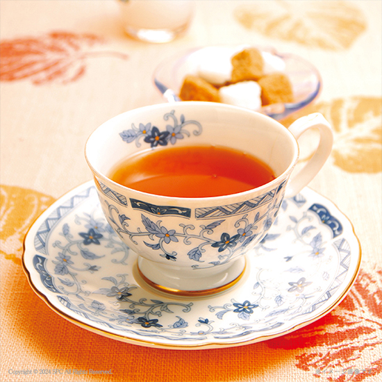 坂井宏行シェフ監修　チョコレートパウンドケーキ＆紅茶セット