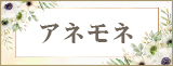 アネモネ