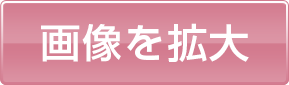 クリックして拡大