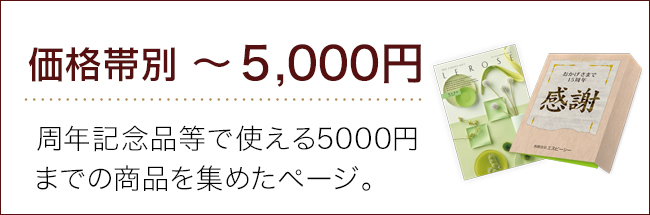 価格帯～5000円ランキング