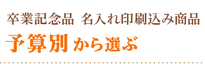 卒業記念品名入れ印刷込み商品　価格別で選ぶ