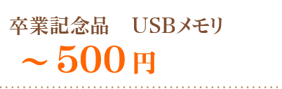 USBメモリ～５００円