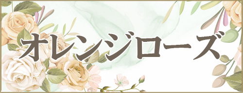 オレンジローズ